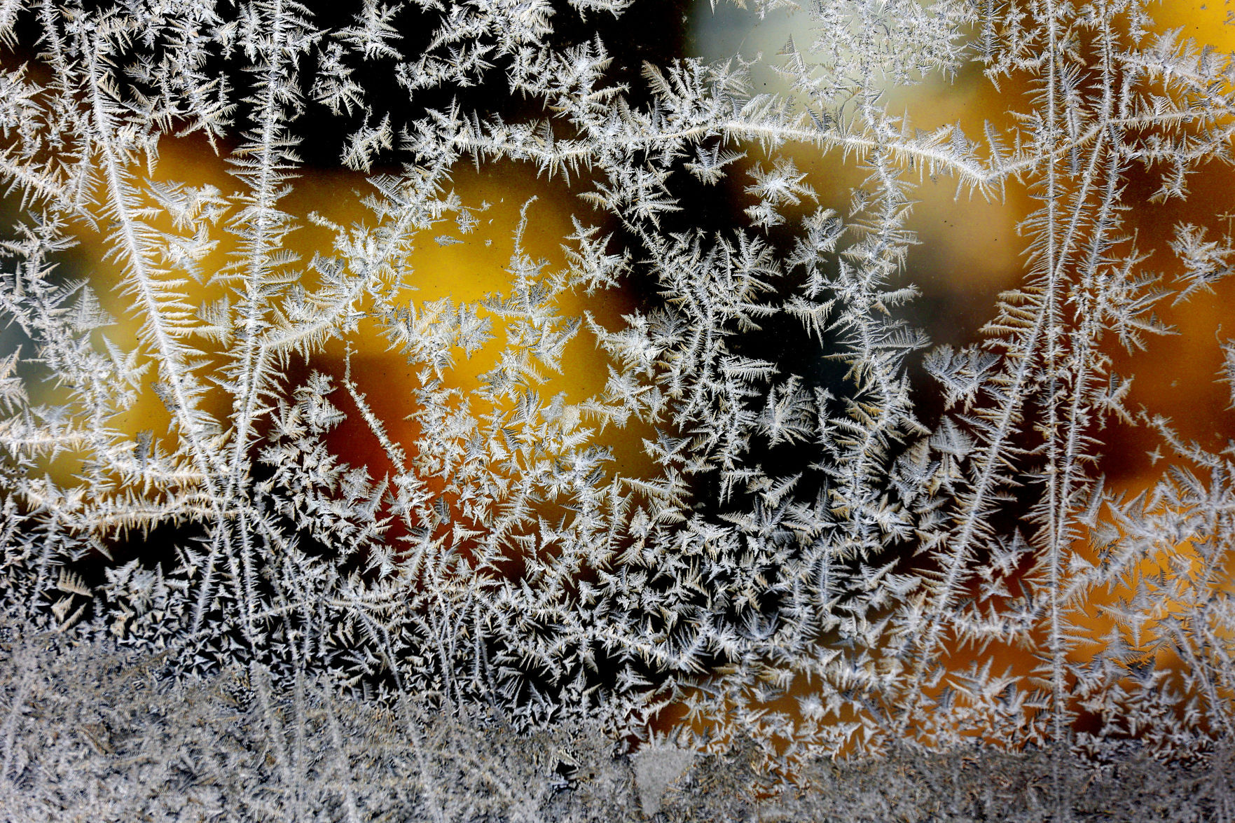 Frost